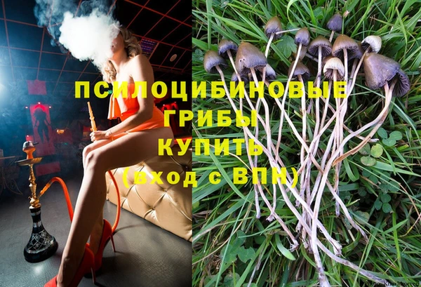 мяу мяу мука Алексин