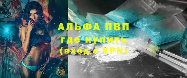 прущие грибы Осташков