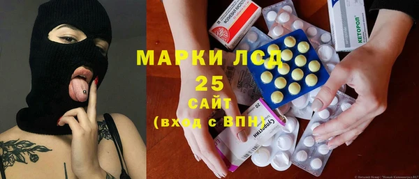 прущие грибы Осташков