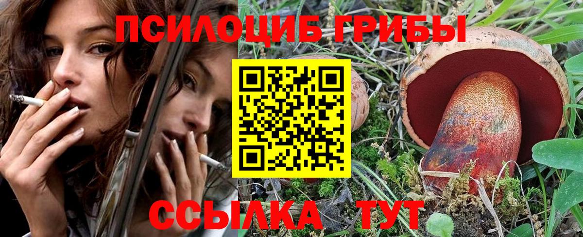 Новошахтинск  Галлюциногенные грибы MAGIC MUSHROOMS  Галлюциногенные грибы Psilocybine cubensis  закладка  Вход с VPN 
