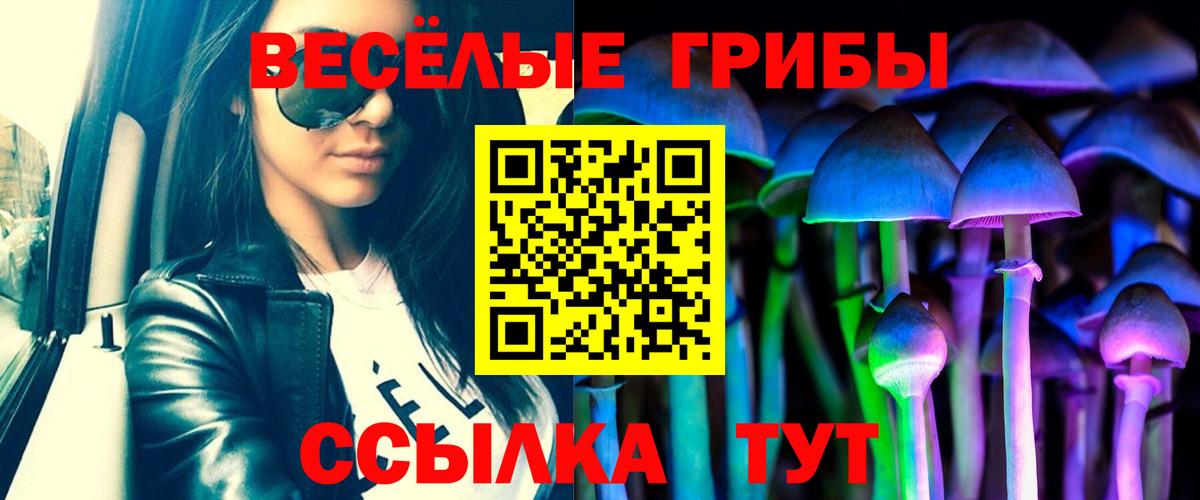 Галлюциногенные грибы мицелий Новошахтинск